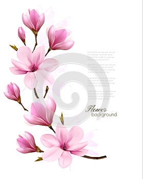Nature background with blossom branch of pink magnolia.