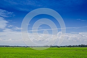 Nature background of blue sky with cloud