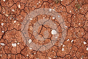 Nature background of cracked dry lands. Natural texture of soil with cracks. Broken clay surface of barren dryland