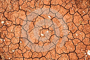 Nature background of cracked dry lands. Natural texture of soil with cracks. Broken clay surface of barren dryland