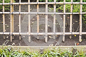 Nature background with detail of bamboo fence