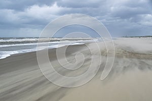 Nature background featuring sand gone with wind in summer windy day on North Sea coast near the Hague in the Netherlands