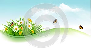 Nature background with grass and flowers and butterflies.