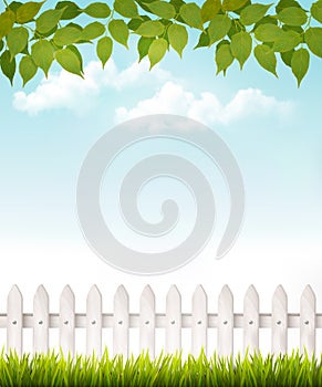 Nature background with green_leaves and white french. photo