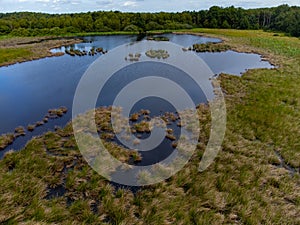 Nature background, green lung of North Brabant, turf lake in Kempen forest in September, the Netherlands