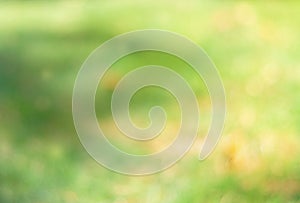 Nature background green and yellow, full defocused, abstract background