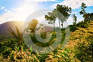 Nature Background. Landscape Of Green Hills. Scenery. Thailand,