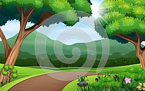 Nature background with path road and trees