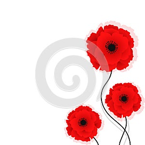 Nature background with red poppies flowers. Vector illustration. Can be used for textile, wallpapers, prints and web design