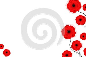 Nature background with red poppies flowers. Vector illustration. Can be used for textile, wallpapers, prints and web design