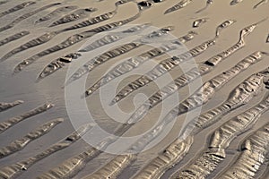 Ripples in wet sand on th northsea coast on low tide