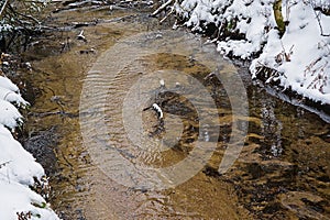 rippling water of a creek with brown soil
