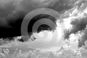 Nature background 2182