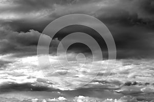 Nature background 2194