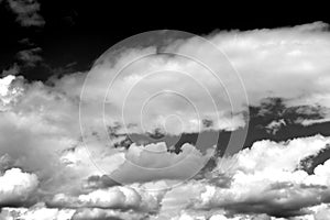 Nature background 2842