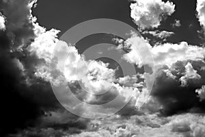 Nature background 2951