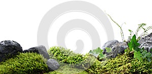 Nature background of stones, moss and plants