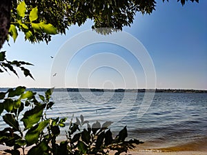 Nature background sun blue river and tree and seagulls fly