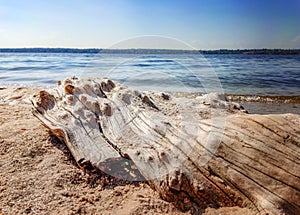 Nature background sun blue river and wooden log