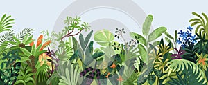 Nature background. Tropical green leaves, exotic plants, flowers, botanical border, floral banner, card design. Leaf