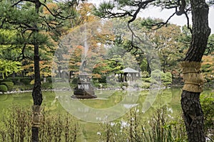 Nature background with view of traditional Japanese garden in Hibiya public park in Tokyo