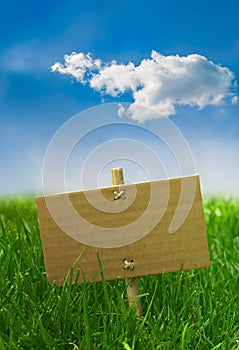 Nature banner on a green grass and blue sky