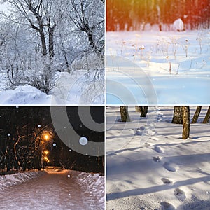 Nature banner winter. Nature collage with seasonal scenics. Copy space for text, square