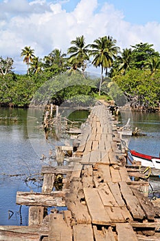 Nature of Baracoa, Cuba