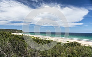 Nature from Beautiful beach in Sydney