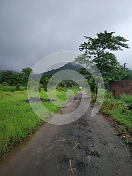 Nature beauty in rainy season