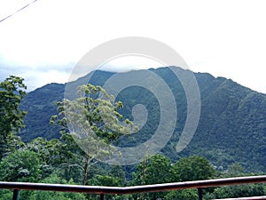 Nature is. A beauty of stuckness