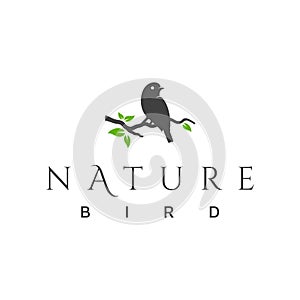 Nature bird logo design vector