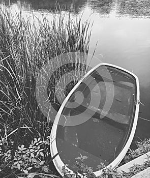 Nature boat on the water