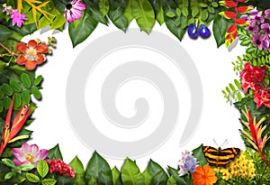 Nature border with flower and green leaf