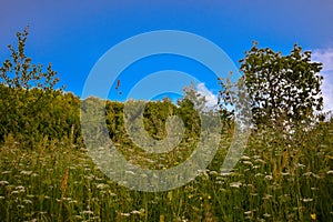 Nature in bosnia, rural landscape gorazde bosnia, village, countrside