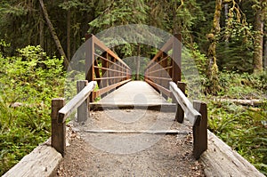 Nature Bridge end near Marymere Falls, Olympic National Park