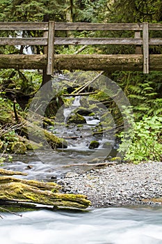 Nature Bridge near Marymere Falls, Olympic National Park