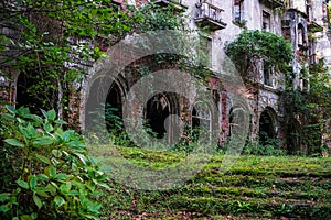 Nature captures the ruined house. House abandoned by people. Tkvarcheli. Abkhazia