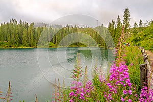 Nature in Carezza Lkae in South Tyrol Dolomites of Italy photo