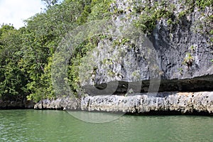 Nature in the Caribbean