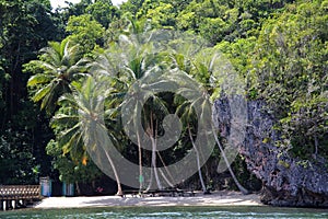 Nature in the Caribbean