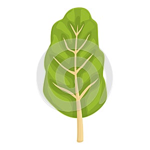 Nature chard icon cartoon vector. Green plant