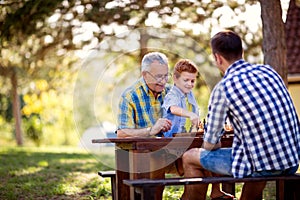 Nature, chess, board, play and family