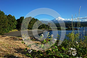 Nature of Chile beautiful landscape, Snow capped Villarrica volcano and Villarrica lake, blue sky sunny day, pucon photo