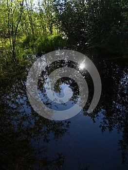 The nature of ChukotkÐ°. in early autumn