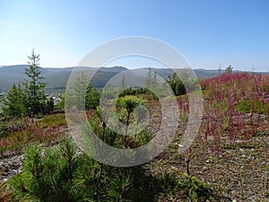 The nature of ChukotkÐ°. in early autumn