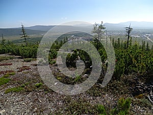 The nature of ChukotkÐ°. in early autumn