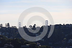 Nature and city from St Hilary's preserve in Belvedere and Tiburon California