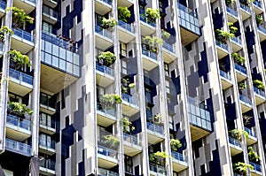 Nature in the city, trees on balconies