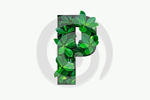Nature concept alphabet of green leaves in alphabet letter P